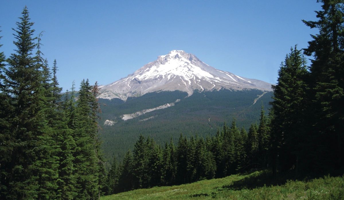 Cool Printing and Copies